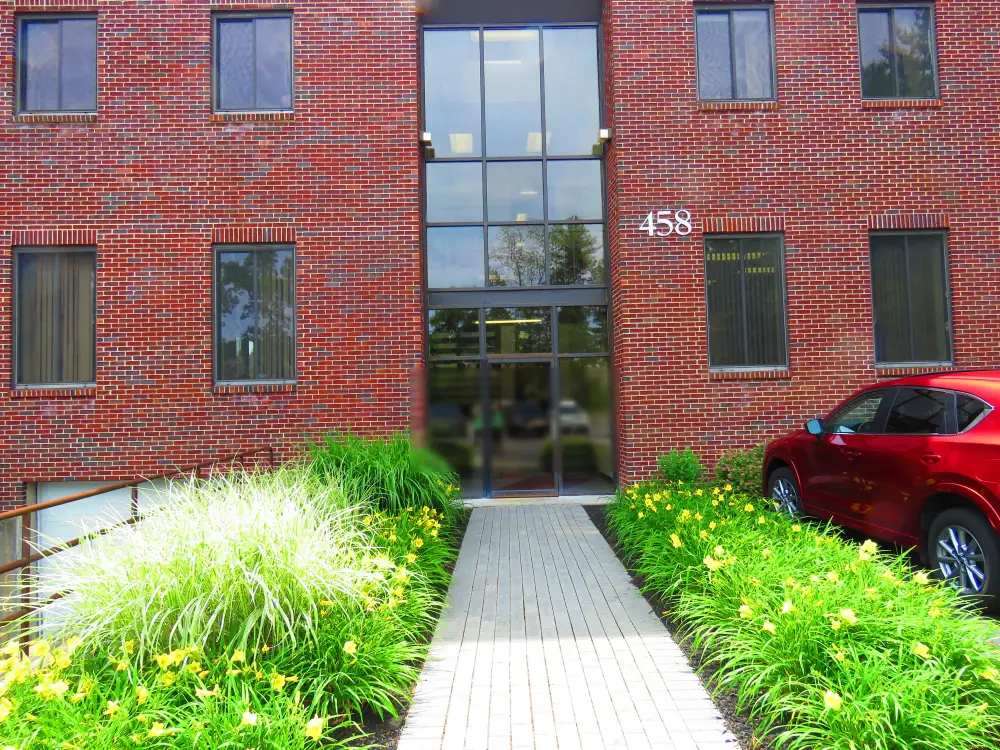 The rear entrance of 458 Boston Street, reached from the car park, with a paved path leading to glass doors below a tall stairwell window.